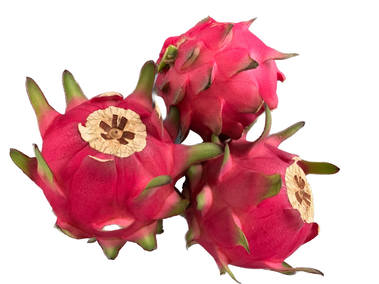 Pitahaya